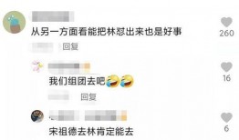 宋大嘴最新爆料视频,揭秘娱乐圈惊人内幕